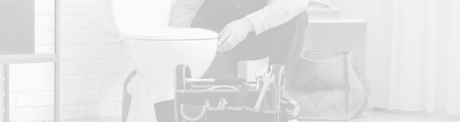 plumber fixing toilet